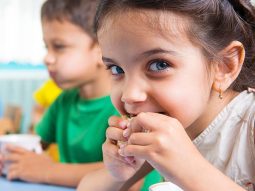 {{brizy_dc_image_alt entityId=