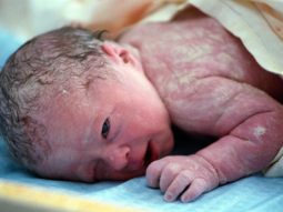 {{brizy_dc_image_alt entityId=