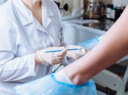 {{brizy_dc_image_alt entityId=