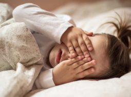 {{brizy_dc_image_alt entityId=