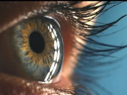 {{brizy_dc_image_alt entityId=