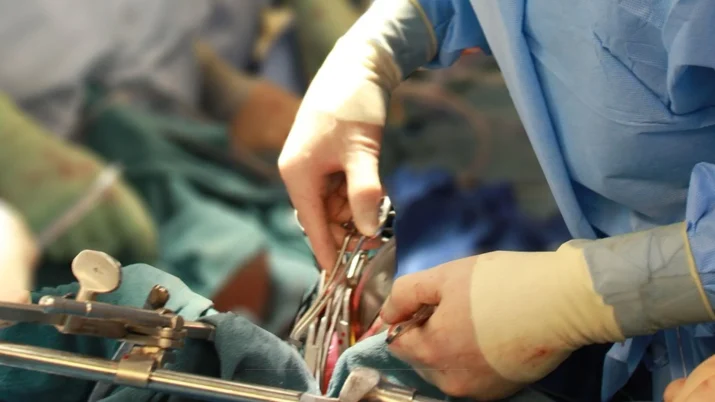 {{brizy_dc_image_alt entityId=