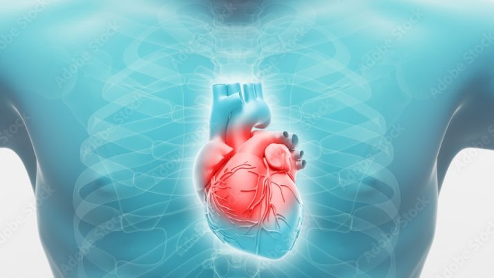 {{brizy_dc_image_alt entityId=