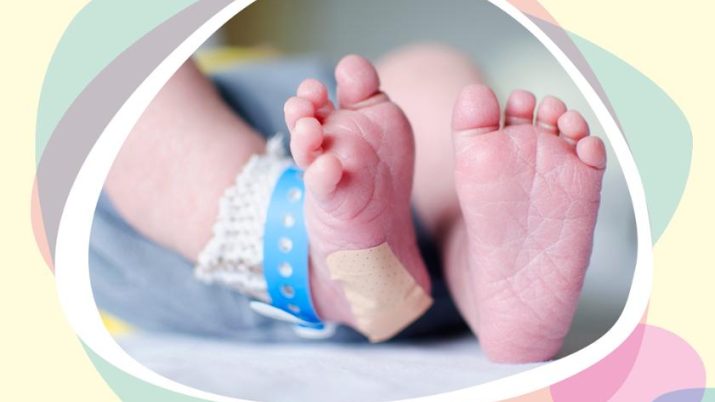 {{brizy_dc_image_alt entityId=