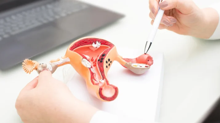 {{brizy_dc_image_alt entityId=