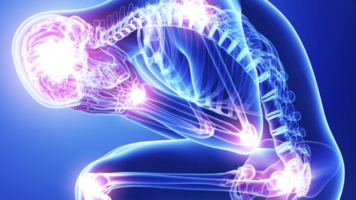 {{brizy_dc_image_alt entityId=