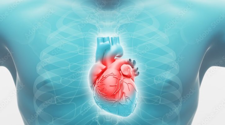 {{brizy_dc_image_alt entityId=