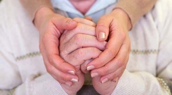 {{brizy_dc_image_alt entityId=