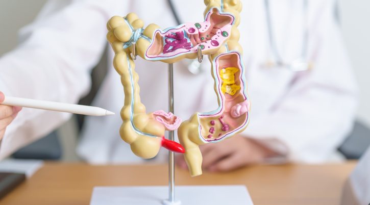 {{brizy_dc_image_alt entityId=