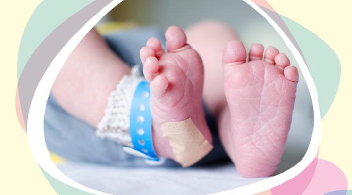 {{brizy_dc_image_alt entityId=