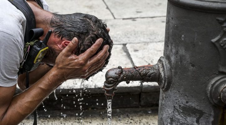 {{brizy_dc_image_alt entityId=