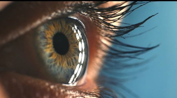 {{brizy_dc_image_alt entityId=