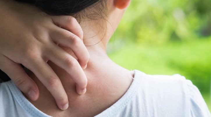 {{brizy_dc_image_alt entityId=