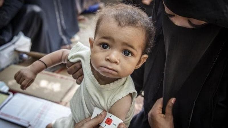 191351371 32c28735 7bf8 4d21 8ea4 01542a503c76