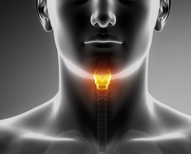 Al via la campagna “Ti presento TED”