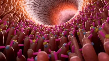 Effetti della disbiosi sull’efficacia dell’immunoterapia: il ruolo chiave del microbiota