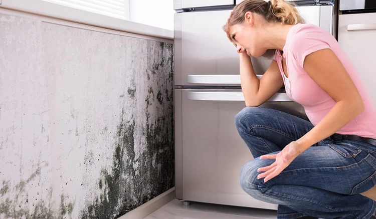 I sintomi da non ignorare causati dalla muffa: attenzione a tosse, fiato corto e stanchezza ricorrente