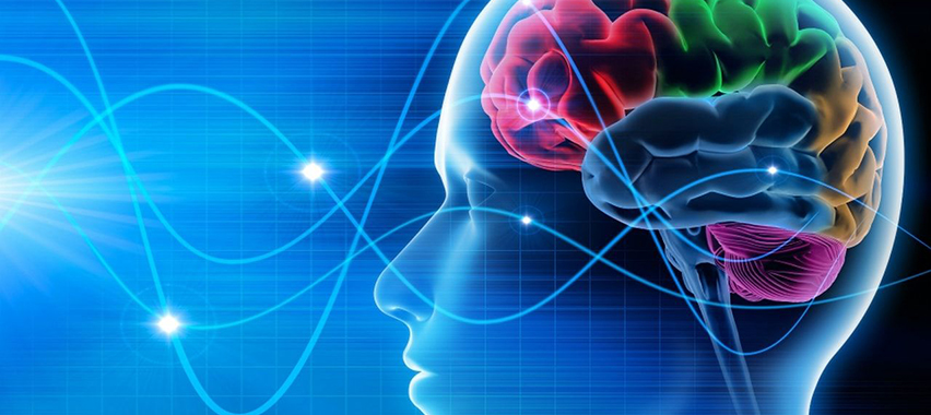 Epilessia: visite specialistiche e prevenzione mirata