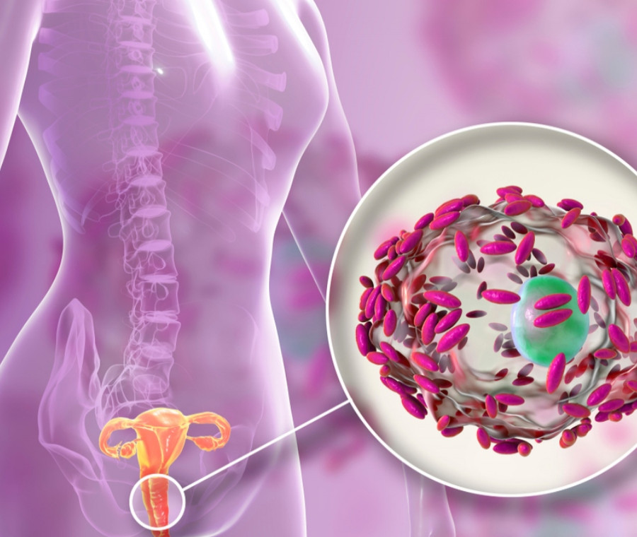 In questo articolo approfondiamo il tema, sempre più centrale, del microbiota vaginale e dell’importanza di percorsi diagnostici personalizzati per la prevenzione.