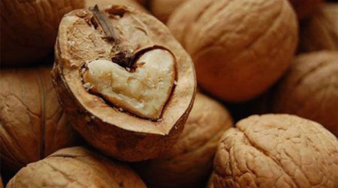 Dopo Natale, ripartire con buon senso...ma una noce al giorno...