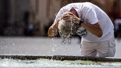 {{brizy_dc_image_alt entityId=