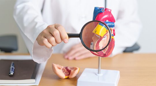 {{brizy_dc_image_alt entityId=