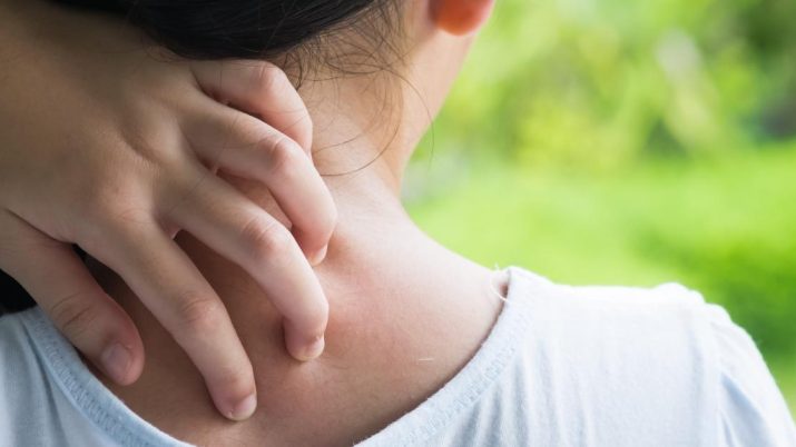 {{brizy_dc_image_alt entityId=