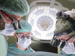 {{brizy_dc_image_alt entityId=