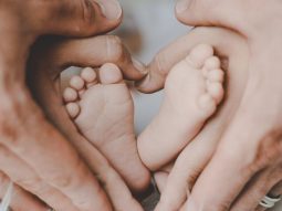 {{brizy_dc_image_alt entityId=