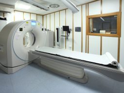 {{brizy_dc_image_alt entityId=