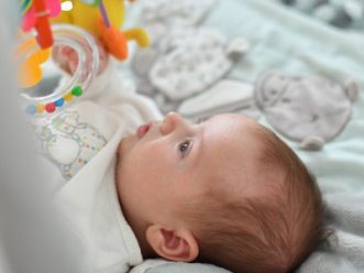 {{brizy_dc_image_alt entityId=