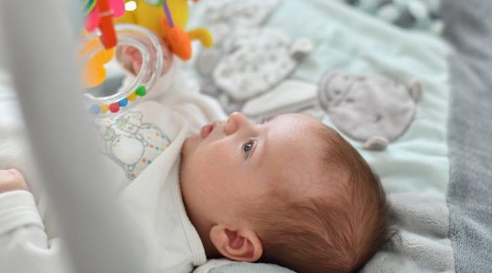 {{brizy_dc_image_alt entityId=