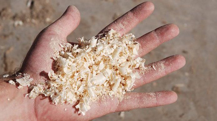 {{brizy_dc_image_alt entityId=