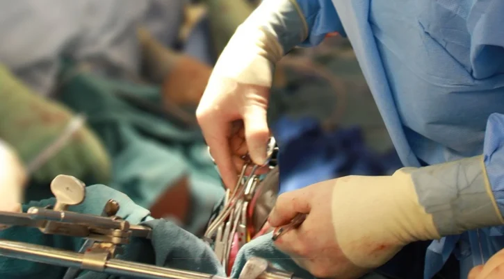 {{brizy_dc_image_alt entityId=