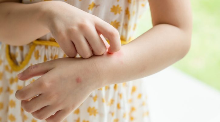 {{brizy_dc_image_alt entityId=