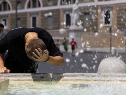 {{brizy_dc_image_alt entityId=