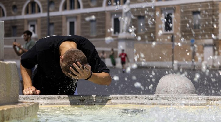 {{brizy_dc_image_alt entityId=