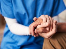 {{brizy_dc_image_alt entityId=