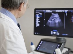 {{brizy_dc_image_alt entityId=