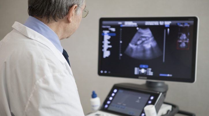 {{brizy_dc_image_alt entityId=