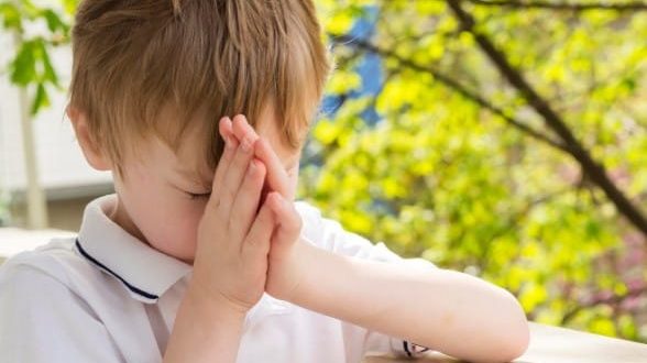 {{brizy_dc_image_alt entityId=