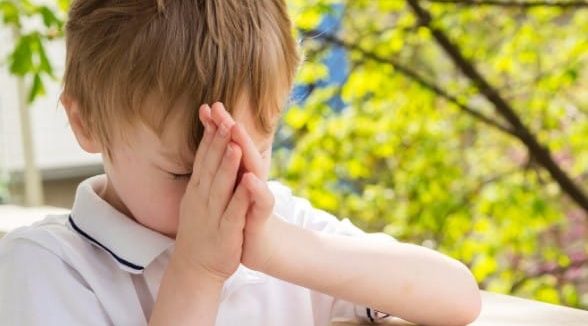 {{brizy_dc_image_alt entityId=