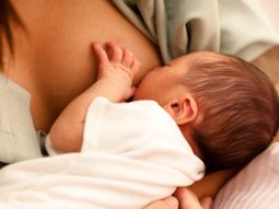 {{brizy_dc_image_alt entityId=