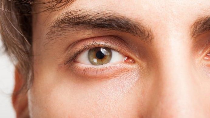 {{brizy_dc_image_alt entityId=