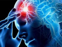 {{brizy_dc_image_alt entityId=