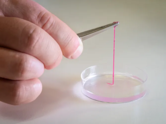 {{brizy_dc_image_alt entityId=