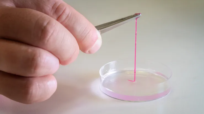 {{brizy_dc_image_alt entityId=