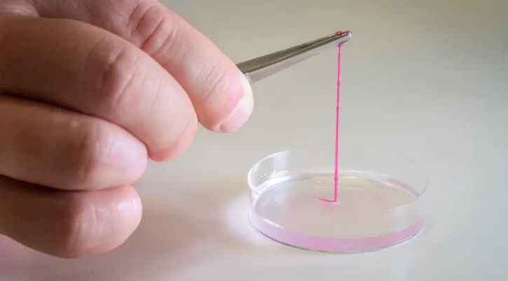 {{brizy_dc_image_alt entityId=