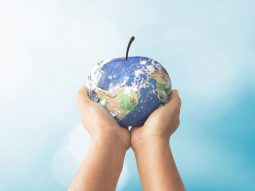 {{brizy_dc_image_alt entityId=