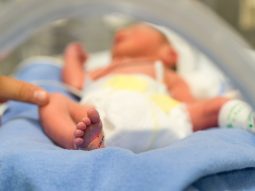 {{brizy_dc_image_alt entityId=